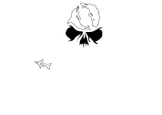 sea shepherd logo